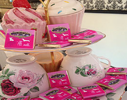 dog boarding services